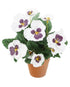 Artificial 30cm White Pansy Plug Plant